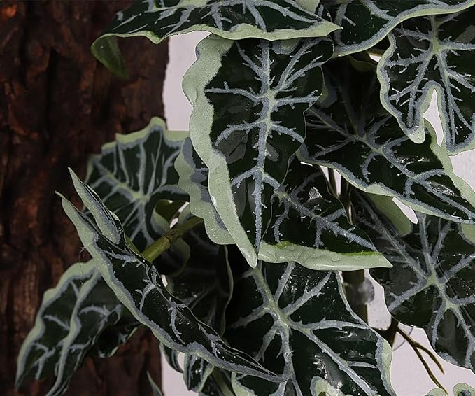 Reptile Plants for Terrarium, Amphibian Habitat Decor Artificial Hanging Plants with Suction Cup - Fake Alocasia Black Velvet WOLEDOE