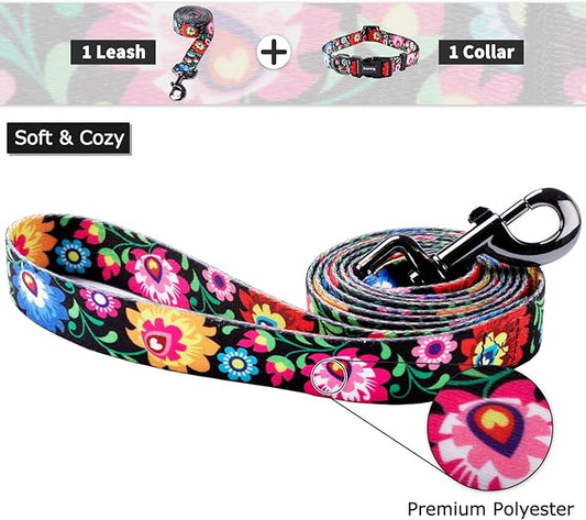 Ihoming Dog Collar and Leash Set for Daily Outdoor Walking Running Training, Black Colorful Flowers Design for Medium Boys Girls Dogs Cats Pets, M-Up to 45LBS Ihoming
