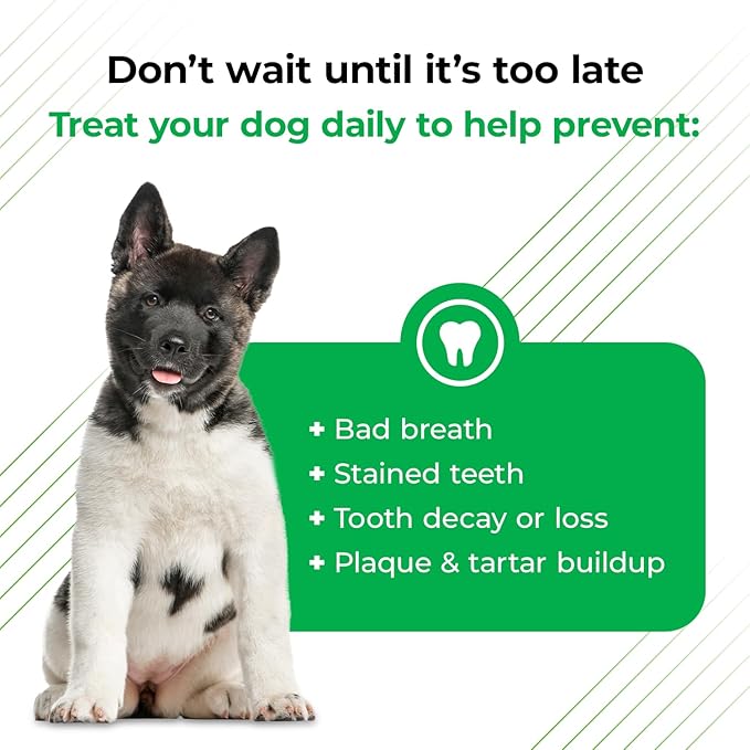 VetriScience Perio Plus Dental Sticks for Dogs - Advanced Dog Breath Freshener - Dual Action Dog Teeth Cleaning Chews for Plaque Control & Fresh Breath, 30 Sticks, Chicken Flavor VetriScienceLaboratories