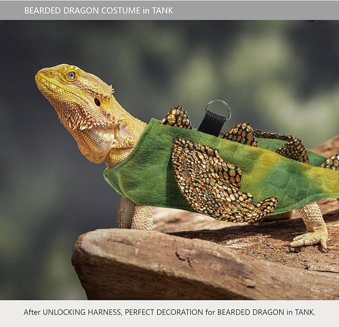 Bearded Dragon Dinosaur Costume with Harness, Bearded Dragon Halloween Costume, Beardie Durable Nylon Leash & Clothes, Tank Accessories for Lizard Reptile Small Pet Rabbit (Large Size) WELCOME