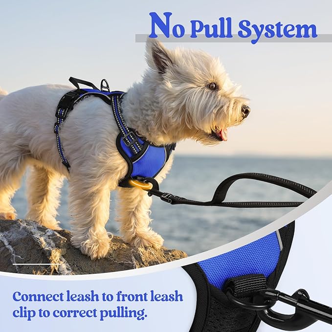 rabbitgoo Dog Harness No Pull with 2 Leash Clips, Adjustable Soft Padded, Reflective Oxford No Choke Pet Vest with Easy Control Handle for Puppy, Dazzling Blue,XS rabbitgoo