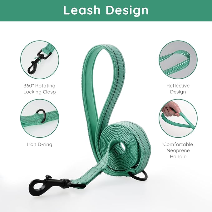 BELLA & PAL Puppy Harness with Leash Set, Dog Harness for Small Dogs No Pull, Dog Leash for Small Dogs, Step in Harness for Extra Small Dogs, Green Harness, XS BELLAPAL