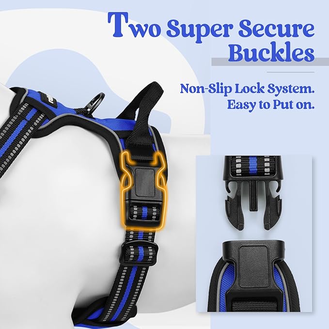 rabbitgoo Dog Harness No Pull with 2 Leash Clips, Adjustable Soft Padded, Reflective Oxford No Choke Pet Vest with Easy Control Handle for Medium Sized Dogs, Dazzling Blue, M rabbitgoo
