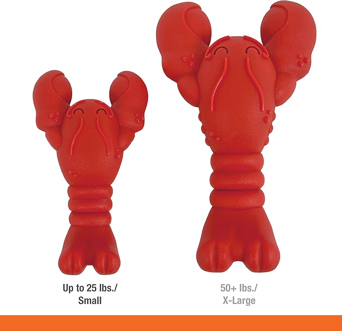 Nylabone Power Chew Lobster Dog Chew Toy, Cute Dog Toys for Aggressive Chewers, Filet Mignon Flavor, Small/Regular (1 Count) - PAWPICO