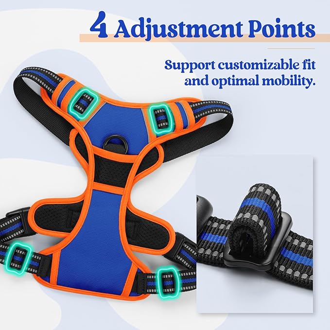 rabbitgoo Dog Harness No Pull with 2 Leash Clips, Adjustable Soft Padded, Reflective Oxford No Choke Pet Vest with Easy Control Handle for Large Dogs, Blue & Orange, L rabbitgoo