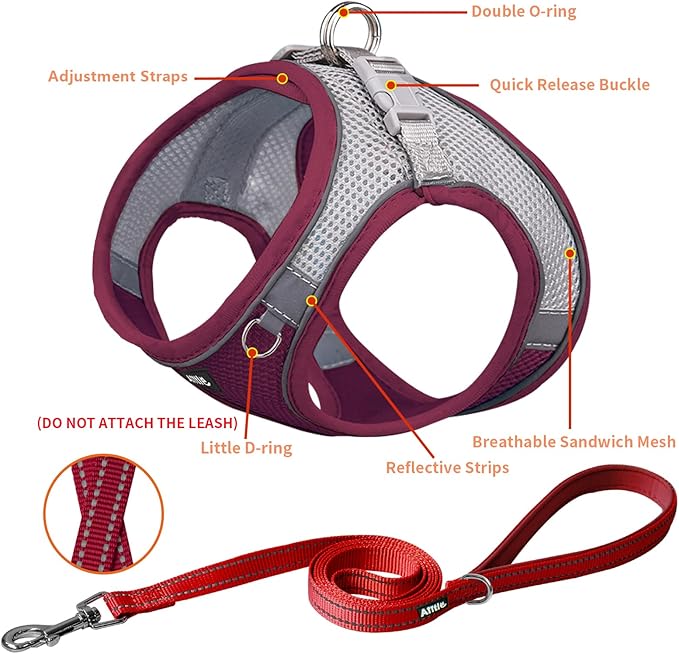 AIITLE Comfortable Dog Harness and Leash Set for Walking - Spring Step in Vest Harness,Reflective Bands, Adjustable No Pull Puppy Essentials, for Small Dogs and House Cats Burgundy XS AIITLE-FORPETSBETTERLIFE