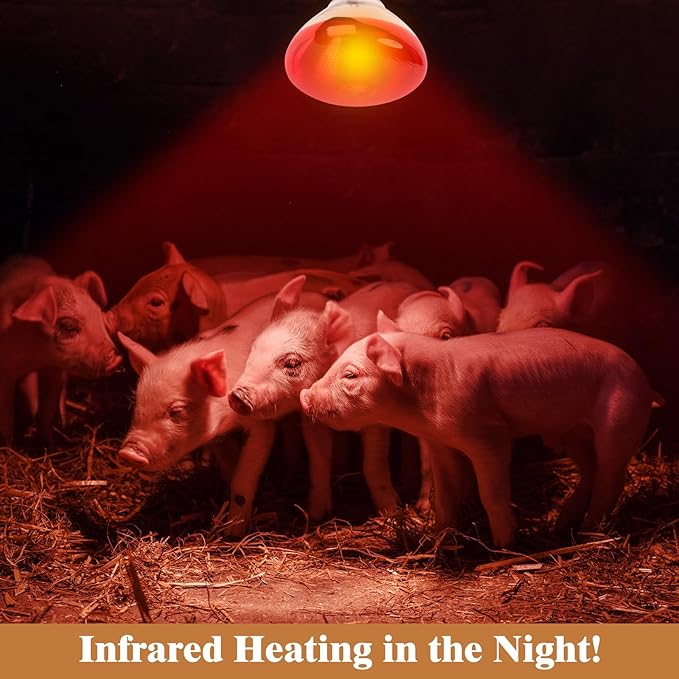 250W Red Heat Lamp Bulbs for Chicken,Infrared Flood Light Heat Lamp Bulb, Incandescent Light Heat Lamps for Chicks, Reptile, Pets, Par38 Glass E26 Base REPTIHOME