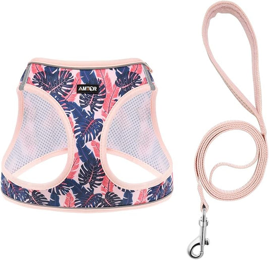 AMTOR Small Dog Harness with Leash Set, No Escape Easy Walk Puppy Harnesses for Training Walking, Step-in Reflective Soft Dogs Vest for XS S Medium Extra-Small Large Sized Dog(Pink Palm) AMTOR
