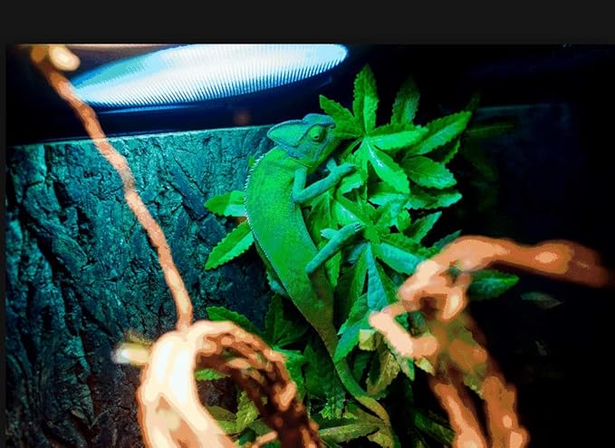 Reptile Silk Plants Leaves, Habitat Amphibian Accessories Enclosure Decor Tank Decoration Vines for Climbing, Decorate Grass Leaf with Suction Cup for Reptile & Amphibian Habitat Plants PAWPICO