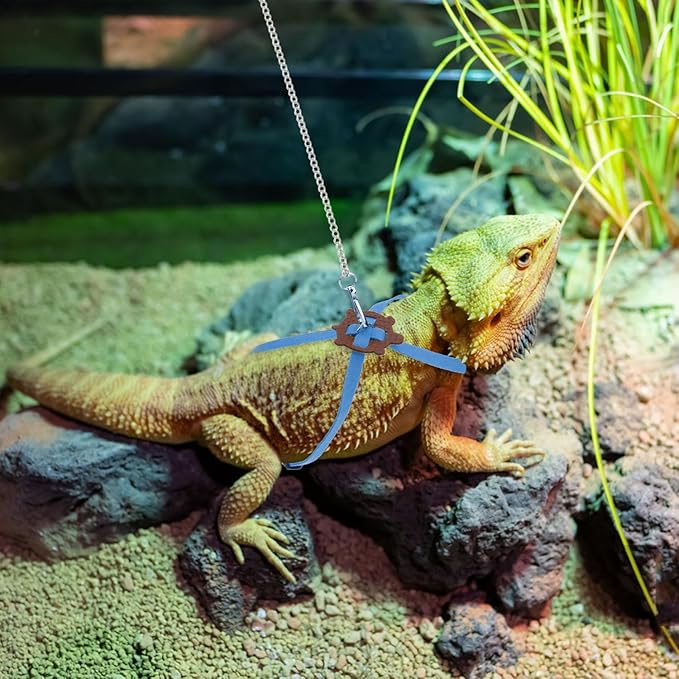2 Pack Adjustable Reptile Harness and Leash for Lizard Gecko Bearded Dragon Outside Walk (Blue) Wontee