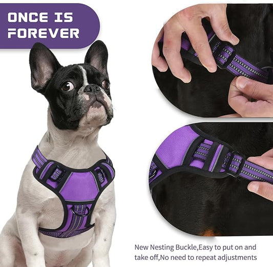 BUMBIN Dog Harness for Large Dogs, No Pull Adjustable No Choke Pet Vest with Dog Leash Fit Smart Reflective Pet Walking Harness for Training Easy Control Soft Handle Purple M BUMBIN