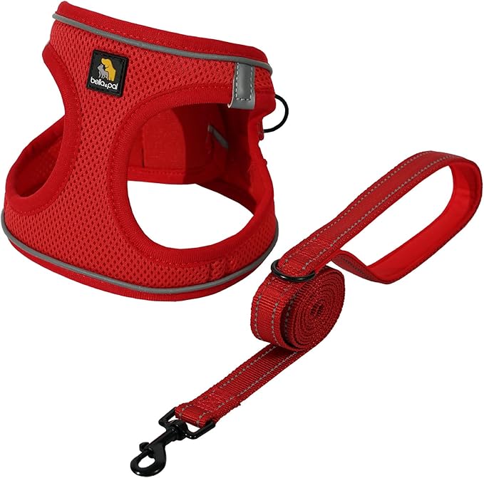 BELLA & PAL Puppy Harness with Leash Set, Dog Harness for Small Dogs No Pull, Dog Leash for Small Dogs, Step in Harness for Extra Small Dogs, Red Harness, S BELLAPAL