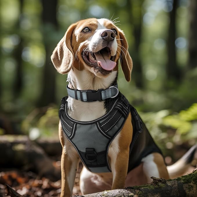 Joytale Reflective Dog Collar,Soft Neoprene Padded Breathable Nylon Pet Collar Adjustable for Medium DogsGray,M - PAWPICO
