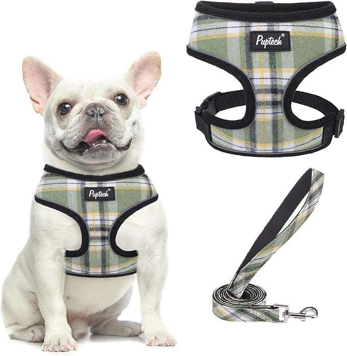 PUPTECK Soft Mesh Dog Harness and Leash Set Pet Puppy Cat Comfort Padded Vest No Pull Harnesses, Green/Yellow, M PUPTECK