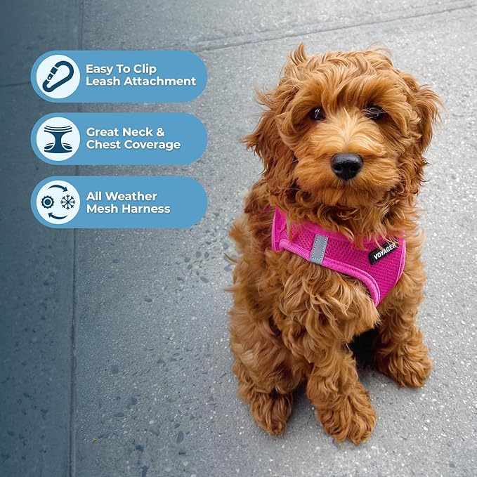 Voyager Step-in Air Dog Harness - All Weather Mesh, Reflective, No Pull Harness for Small, Medium Dogs, Cats - Secure with Hook & Loop Fastener, Buckle, Double D-Rings - Fuchsia, M BestPetSuppliesLLC