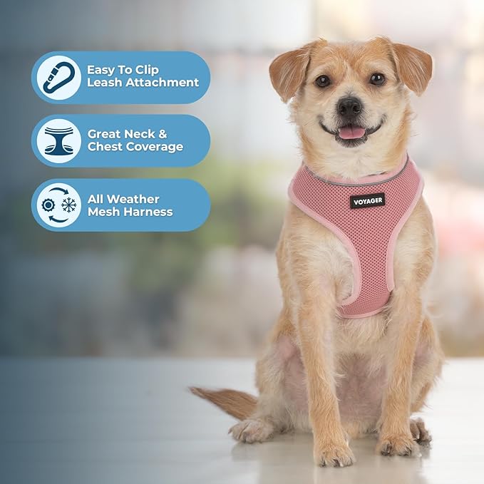 Voyager Aerolite No Pull Mesh Dog Harness with Lightweight, Soft, Breathable, Reflective Stitching, and Adjustable Straps for Walking, Running, Training, Heavy Duty and Durable - Pink, S BestPetSuppliesLLC
