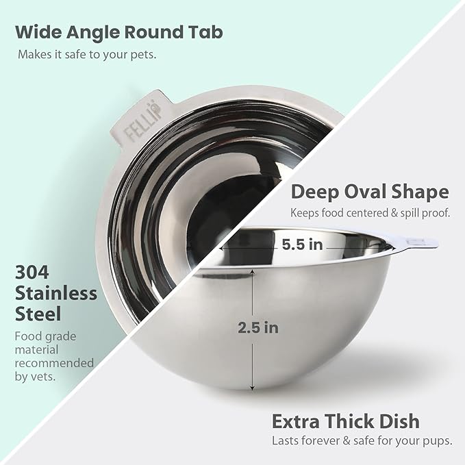Felli Pet Oblik Spill Proof Dog Food Bowl Raised with Acrylic Cone, Slanted Stainless Steel Oval Dish Pet Friendly Design, Angled Metal Feeder Elevated Non Slip for Frenchie Bulldog (1.5Cup, Classic) - PAWPICO