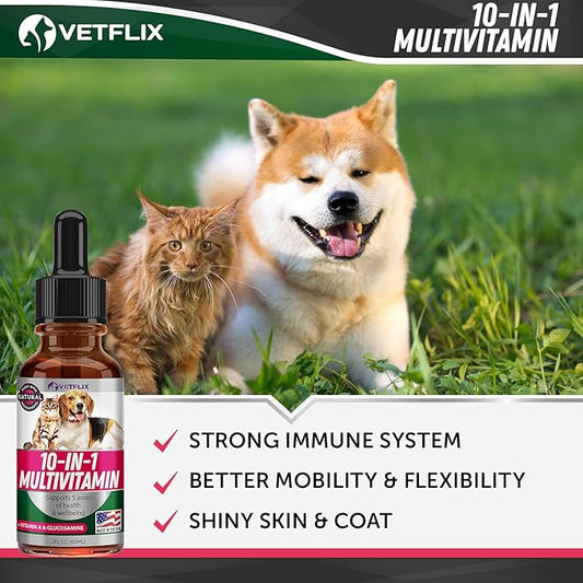 Pet Vitamins 10-in-1 Made in USA - Natural Glucosamine for Dogs & Cats, Essential Multivitamin Blend for Pet Joint Health, Longevity, Gut & Immune Health - All Ages, Breeds and Sizes 2 fl oz Vetflix