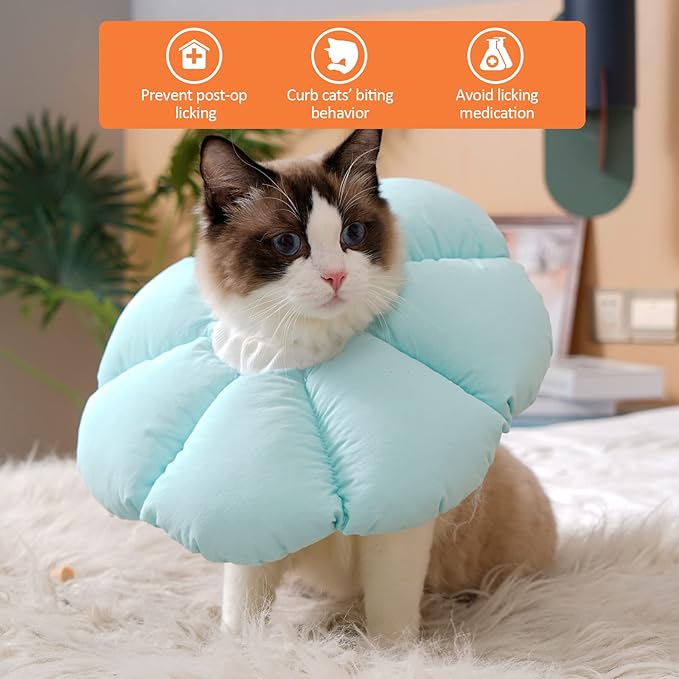 Avont Cat Cone Collar Soft, Adjustable Recovery E Collar Alternative for Cats Kittens Puppies, Elizabethan Neck Cone of Shame to Prevent Licking Biting After Surgery Protect Wounds -Blue(L) Avont