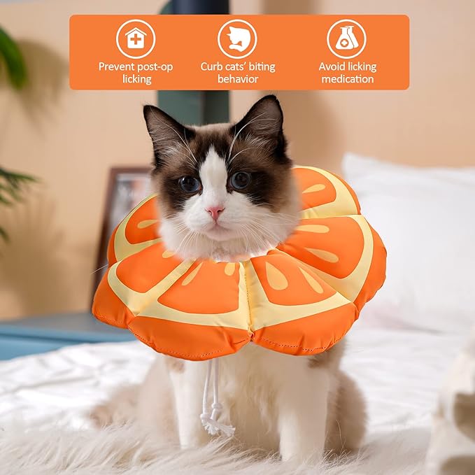 Avont Cat Cone Collar Soft, Adjustable Recovery E Collar Alternative for Cats Kittens Puppies, Elizabethan Neck Cone of Shame to Prevent Licking Biting After Surgery Protect Wounds -Tangerine(M) Avont