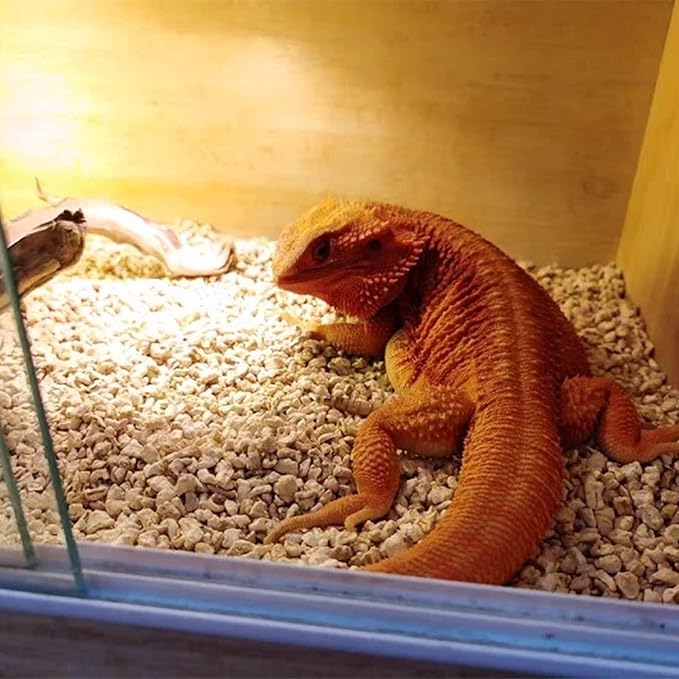 BNOSDM Natural Corn Cob Bedding, Reptile Corn Cob Substrate, 1.76Lb, Small Animal Corn Cob Litter, Terrarium Bedding for Bearded Dragon Snake Gecko Chameleon Hamster BNOSDM