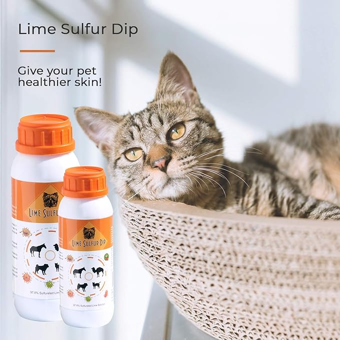 Classic's Lime Sulfur Dip - Pet Care for Itchy and Dry Skin - Xtra Strength Formula - Safe Solution for Dog, Cat, Puppy, Kitten, Horse (16 fl oz) HealthyPawLife