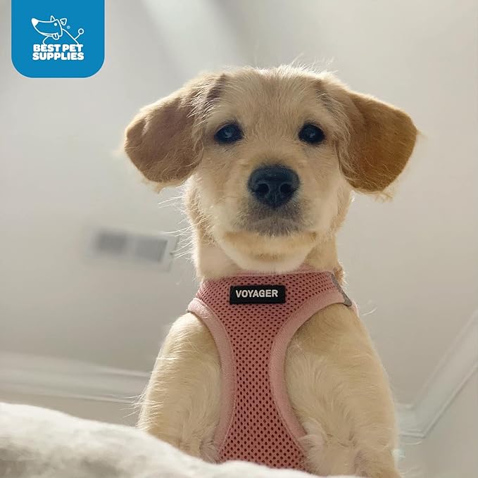 Voyager Step-in Air Dog Harness - All Weather Mesh, Reflective, No Pull Harness for Small, Medium Dogs, Cats - Secure with Hook & Loop Fastener, Buckle, Double D-Rings - Pink, XL BestPetSuppliesLLC