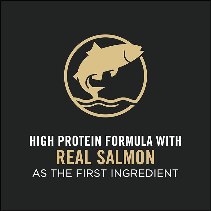 Purina Pro Plan High Protein Cat Food With Probiotics for Cats, Salmon and Rice Formula - 7 lb. Bag - PAWPICO