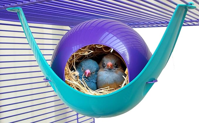 Lixit Igloos and Hideaways for Guinea Pigs, Rats, Mice, Hamsters, Gerbils and Other Small Animals (Assorted Pack of 2, Large Space Pod) Lixit