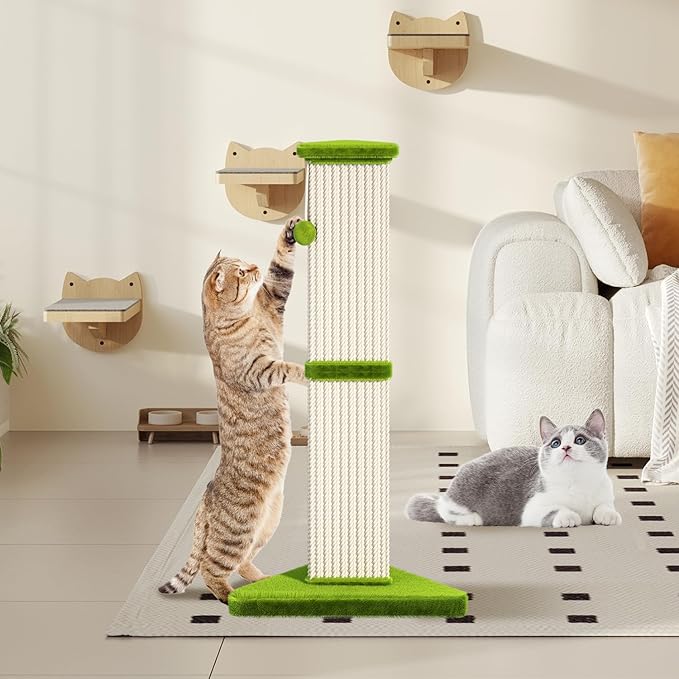 Cat Scratching Post 32 Inch Tall Cat Scratching Post for Indoor with 5 Inch Diameter Post and Ball Cat Scratcher for Medium and Large Cats - PAWPICO