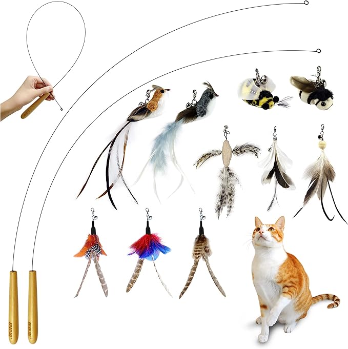 Interactive Bird and Insect Simulation Cat Toy Set with 10Pcs Feather Refills and 2Pcs Cat Wand Toy,29'' Flexible Steel Wire, Sturdy Wood Handle & Bell,Cat Wand Toys for Indoor Cat and Kitten. - PAWPICO