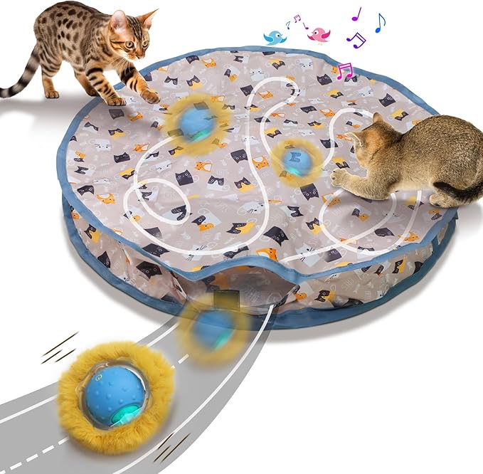 Rechargeable Electric Cat Toys, Hide and Seek Kitten Toy, Chirping & Motion Activated Interactive Cat Toy, Hiding Cover Exercise Toy for Indoor Cats/Kitty/Kittens - PAWPICO
