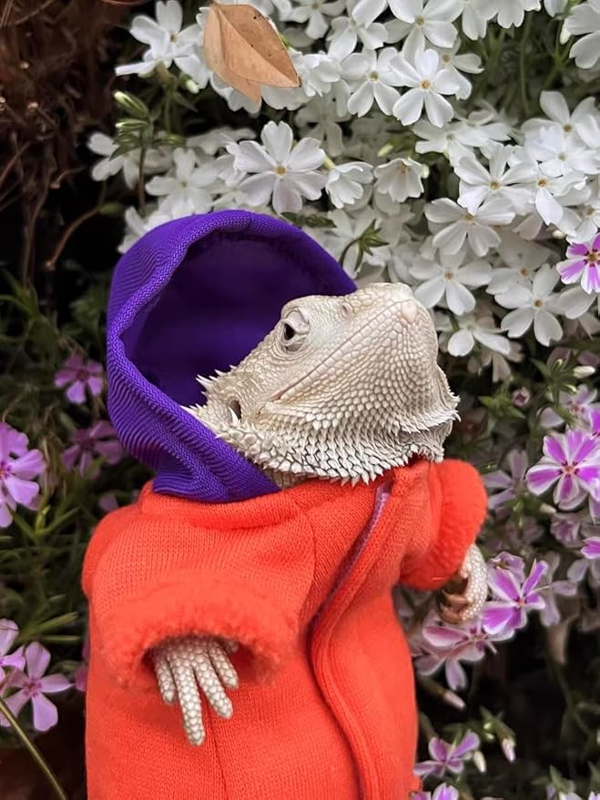 Lizard Clothes for Bearded Dragons Handmade Cloth Material Hoodies Sweater Coat Reptile Apparel Costume Skin Protection Photo Party for Lizard Bearded Dragon Crested Gecko Chameleon (Orange) KUNBIUH