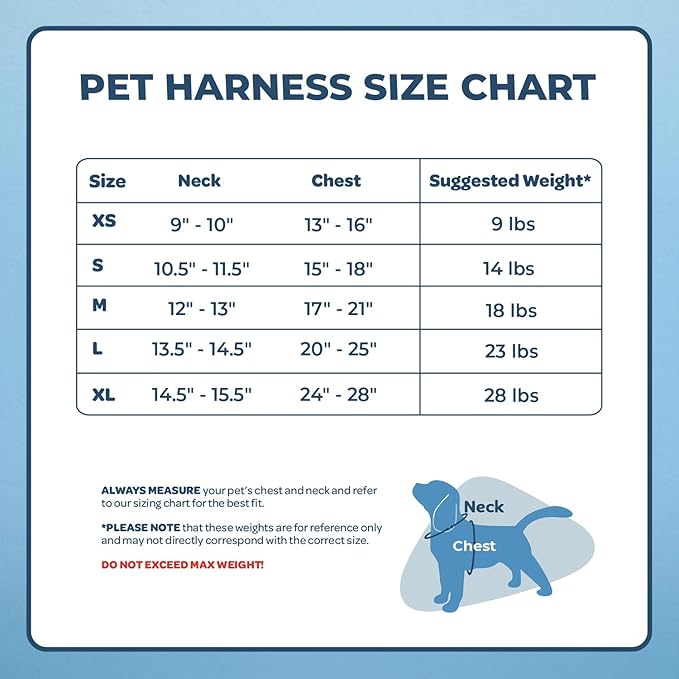 Voyager Aerolite No Pull Mesh Dog Harness with Lightweight, Soft, Breathable, Reflective Stitching, and Adjustable Straps for Walking, Running, Training, Heavy Duty and Durable - Fuchsia, M BestPetSuppliesLLC