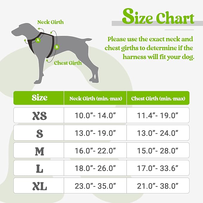 rabbitgoo Dog Harness No Pull with 2 Leash Clips, Adjustable Soft Padded, Reflective Oxford No Choke Pet Vest with Easy Control Handle for Small Dogs, Wild Lime,S rabbitgoo