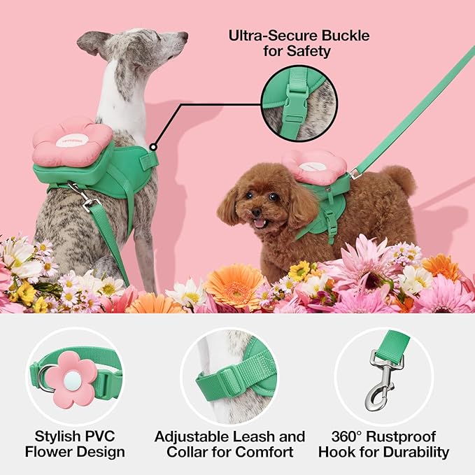 VETRESKA Flora Dog Harness, Leash and Collar Set, No Pull Dog Vest Harness for Walking and Training, Adjustable, Easy Control and Soft Padded Pet Harness and Backpack for Small Medium Large Dogs, S VETRESKA