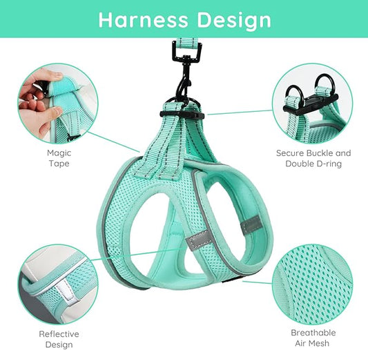 BELLA & PAL Small Dog Harness with Leash Set, Light Green, Size S, No Pull, Reflective Strips, Step-in Design BELLAPAL
