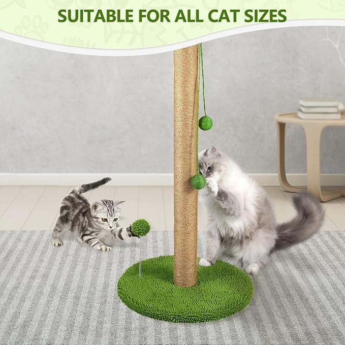 Dohump Cat Scratching Post, 31" Tall Scratch Tree with Premium Sisal Rope, Two Interactive Dangling Balls and Spring Ball Toys for Indoor Kittens and Cats - PAWPICO