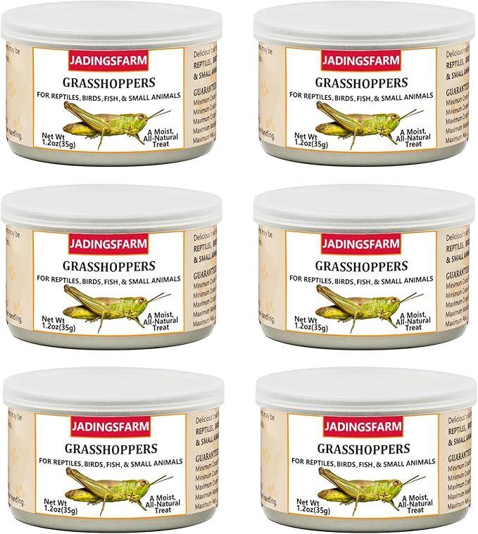 6 Pack Canned Grasshoppers for Reptiles, Fish, Birds and Small Animals, Grasshoppers, Healthy High Protein Treat, Bearded Dragon Food 1.2 Ounces Each Jadingfarm