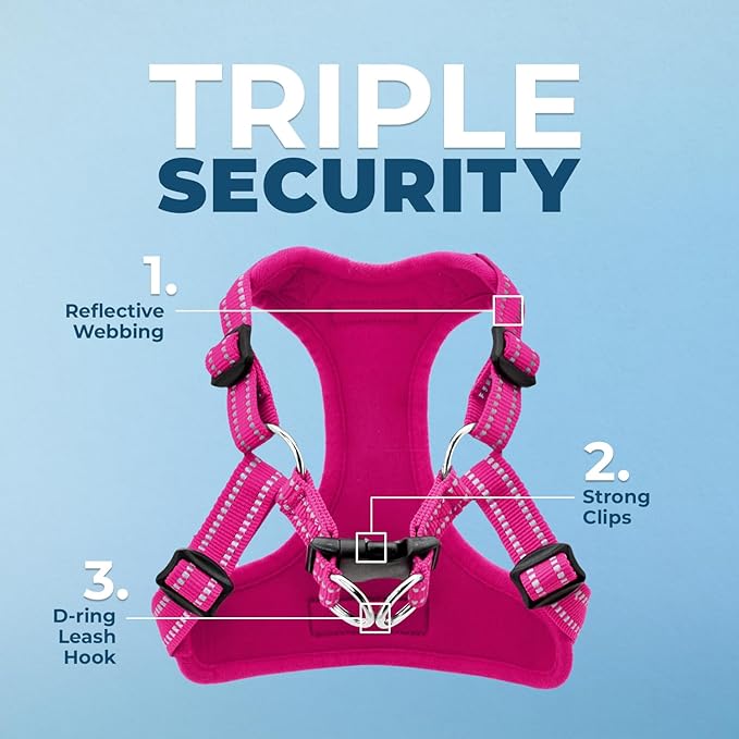 Best Pet Supplies Voyager Adjustable Dog Vest Harness Breathable No Pull Harness for Small, Medium, Large Dogs, Heavy Duty Harness for Walking, Jogging, Easy Step-In, Reflective Stripes - (Fuchsia), M BestPetSuppliesLLC