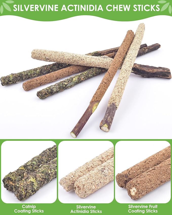 TINDTOP Catnip Chew Toys for Cats, 12 Pack Natural Silvervine Sticks for Kittens Teeth Cleaning, Matatabi Dental Care, Increase Appetite, Calm Cat Anxiety and Stress, Aggressive Chewers Cat Dental Toy - PAWPICO