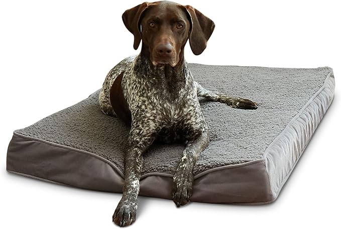 Happy Hounds Oscar Rectangle Orthopedic Foam Sherpa Dog Bed, Medium (42 x 30 in.), Pewter - PAWPICO