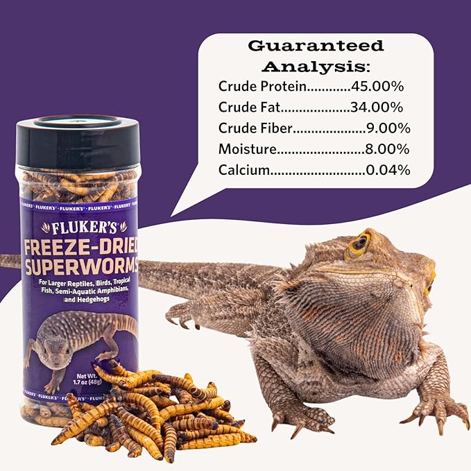 Fluker's Freeze Dried Superworms, for Reptiles, Ideal for Lizards, Reptiles, Birds, Fish, Hedgehogs, 1.7 oz Flukers