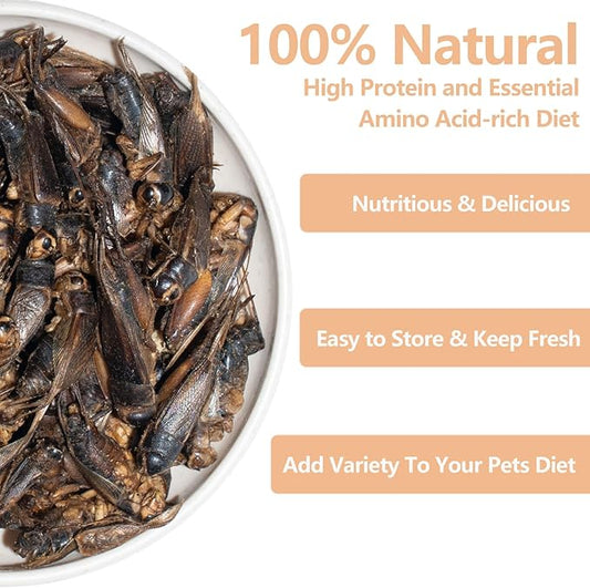 Freeze Dried Crickets – 4.5 Oz High Protein Freeze Dried Crickets, Food for Reptiles, Bearded Dragons, Lizards, Geckos, Birds, Fish,Hedgehogs, Bearded Dragon Food Jadingfarm
