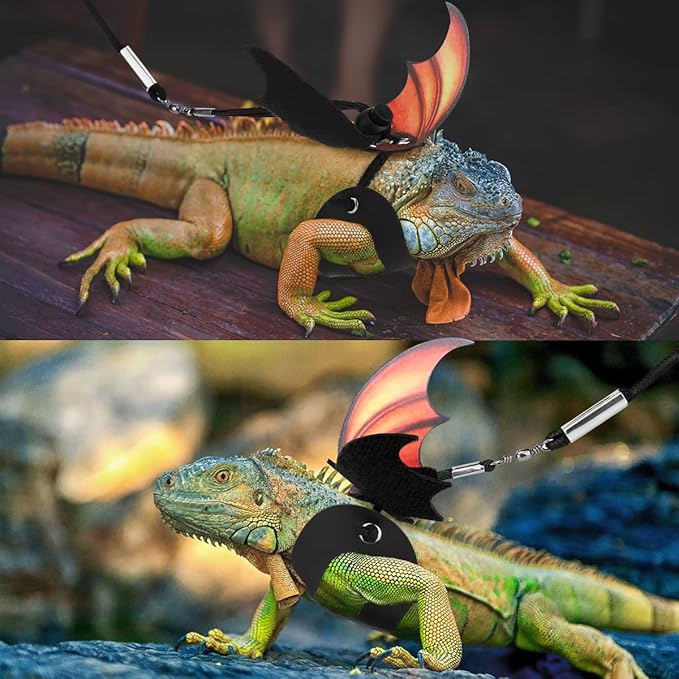 Pawaboo Adjustable Bearded Dragon Harness and Leash, 3 Size Leather Reptile Leash Outdoor Harness Leash with Bat Wings for Lizard Reptiles Amphibians Small Pet, Small/Medium/Large, Gradient Yellow Pawaboo