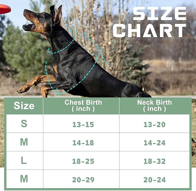 No Pull Dog Harness for Large Dogs, Adjustable No Choke Pet Vest with Dog Leash Fit Smart Reflective Pet Walking Harness for Training Easy Control Soft Handle Green L BUMBIN