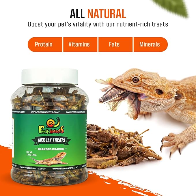 Medley Treat Bearded Dragon Food - Freeze Dried Mealworms, Grasshoppers, Crickets, Quality Tested, Vitamin & Calcium Enriched, Essential Proteins, Fats & Minerals - for Bearded Dragons, Reptiles 6 oz Freshinsects