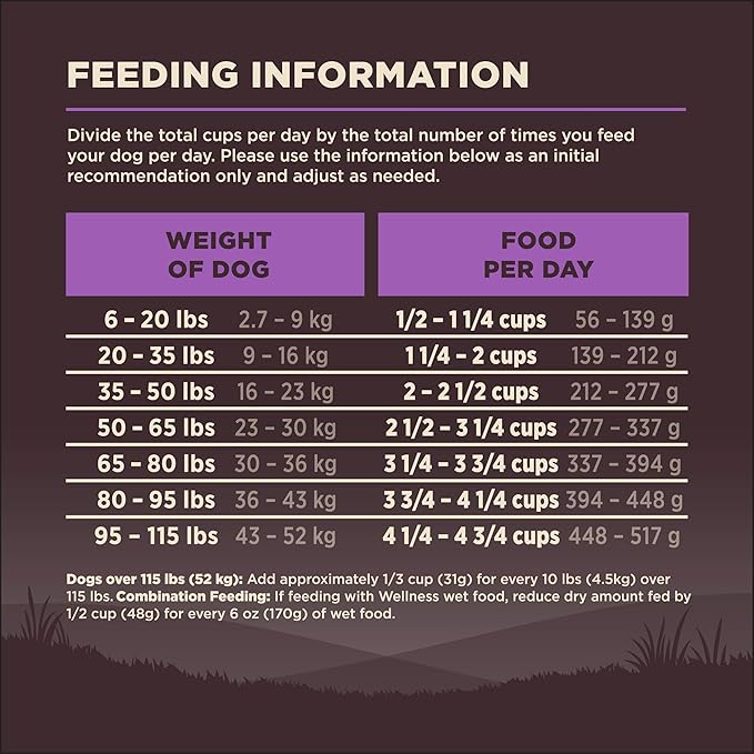 Wellness CORE Grain-Free Senior Dry Dog Food, Made in USA with Real Turkey and Natural Ingredients, With Nutrients for Immune, Joint, Skin & Coat Support, 24-Pound Bag - PAWPICO