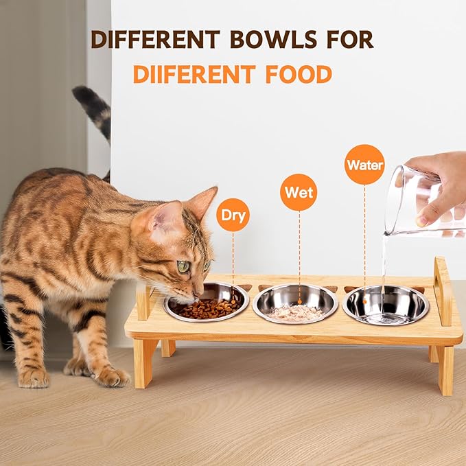 Elevated Cat Food Bowl, 3 Stainless Steel Raised Cat Bowls with Stand, 15°Tilted Cat Bowl for Indoor Cats, Cat Food and Water Bowl Set, Anti Vomitting, Whisker Fatigue and Dishwasher Safe - Natural - PAWPICO