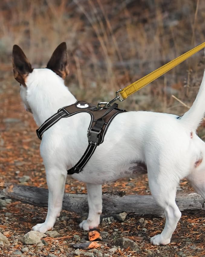 Joytale Double-Sided Reflective Dog Leash, 6 FT/5 FT/4 FT, Padded Handle Nylon Heavy Duty Leashes for Medium & Large Dogs Walking, Khaki, 5FT Joytale